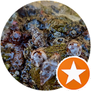 Mauro Nicoli profile picture